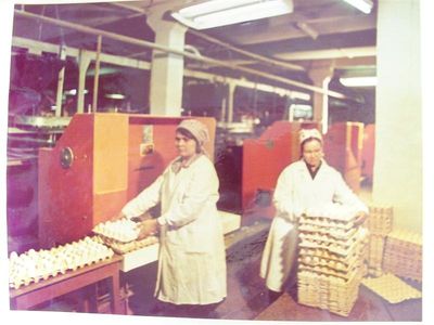 Зиминская птицефабрика