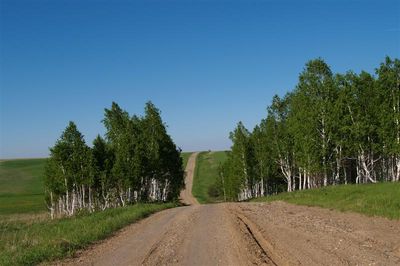 Эх, дорога...