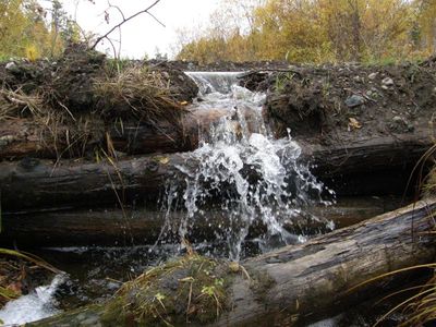 "Приток" реки Зима