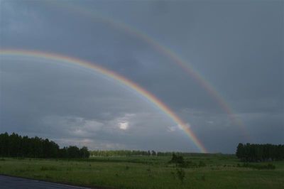 Радуга